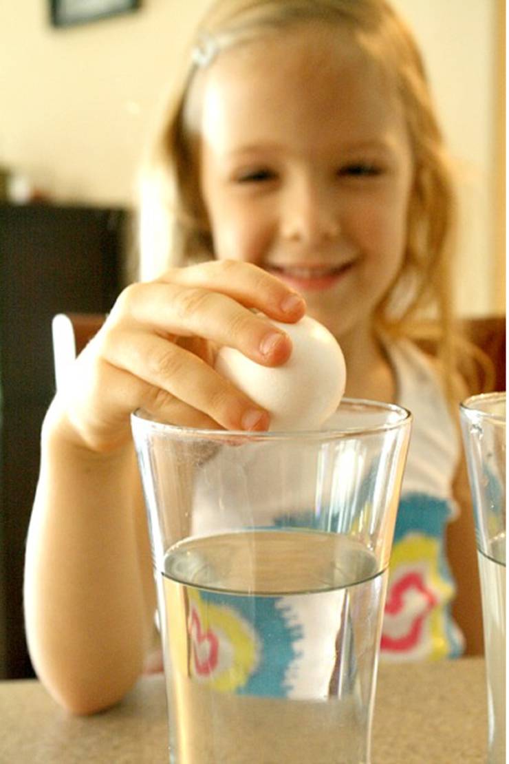 floating egg science experiment for preschool kids