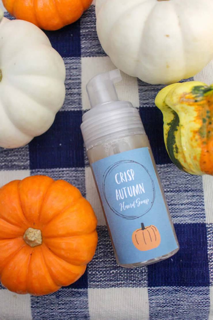 BEST Homemade Liquid Hand Soap! SIMPLE Autumn Crisp Soap Tutorial - Easy & Cheap Recipe {How To Make DIY Idea - FREE Printable}