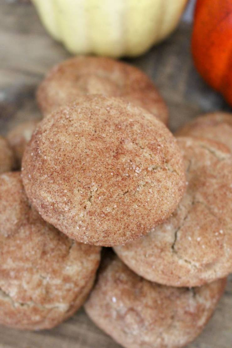 BEST Snickerdoodle Cookies! Easy Maple Snickerdoodle Cookie Idea - How To Make - Quick - Tasty- Homemade - Soft - Chewy - From Scratch Recipe