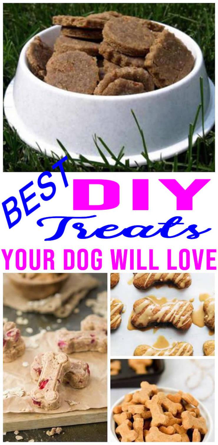 BEST DIY Dog Treats! EASY &amp; SIMPLE Dog Treat Recipes - Homemade - Healthy Treats - Peanut Butter - Frozen - Grain Free - No Bake - Breath Mints