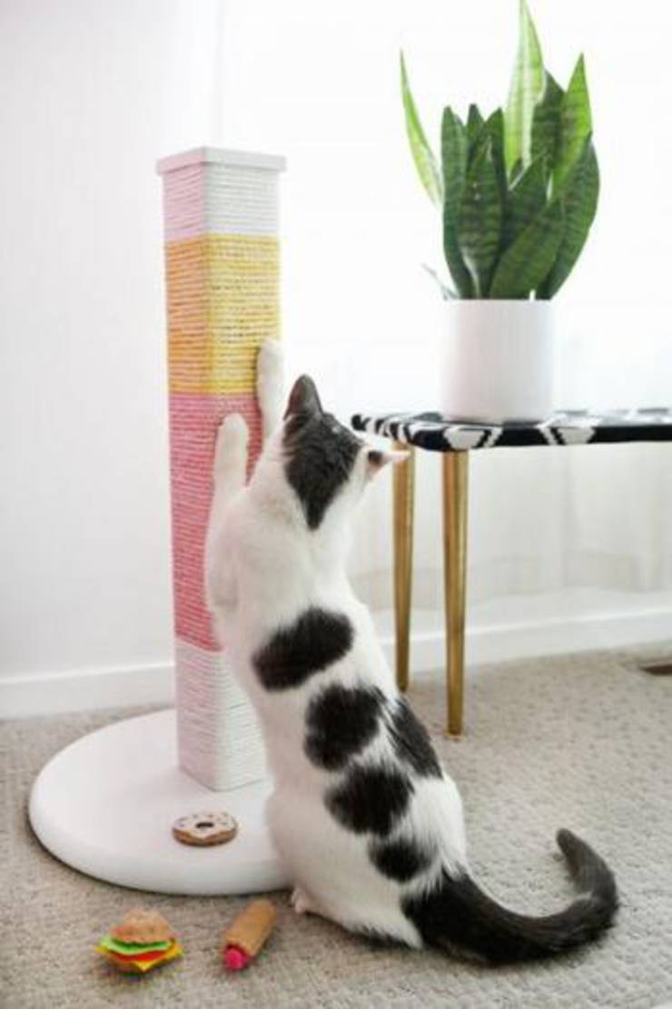 Diy Colorblocked Scratching Post