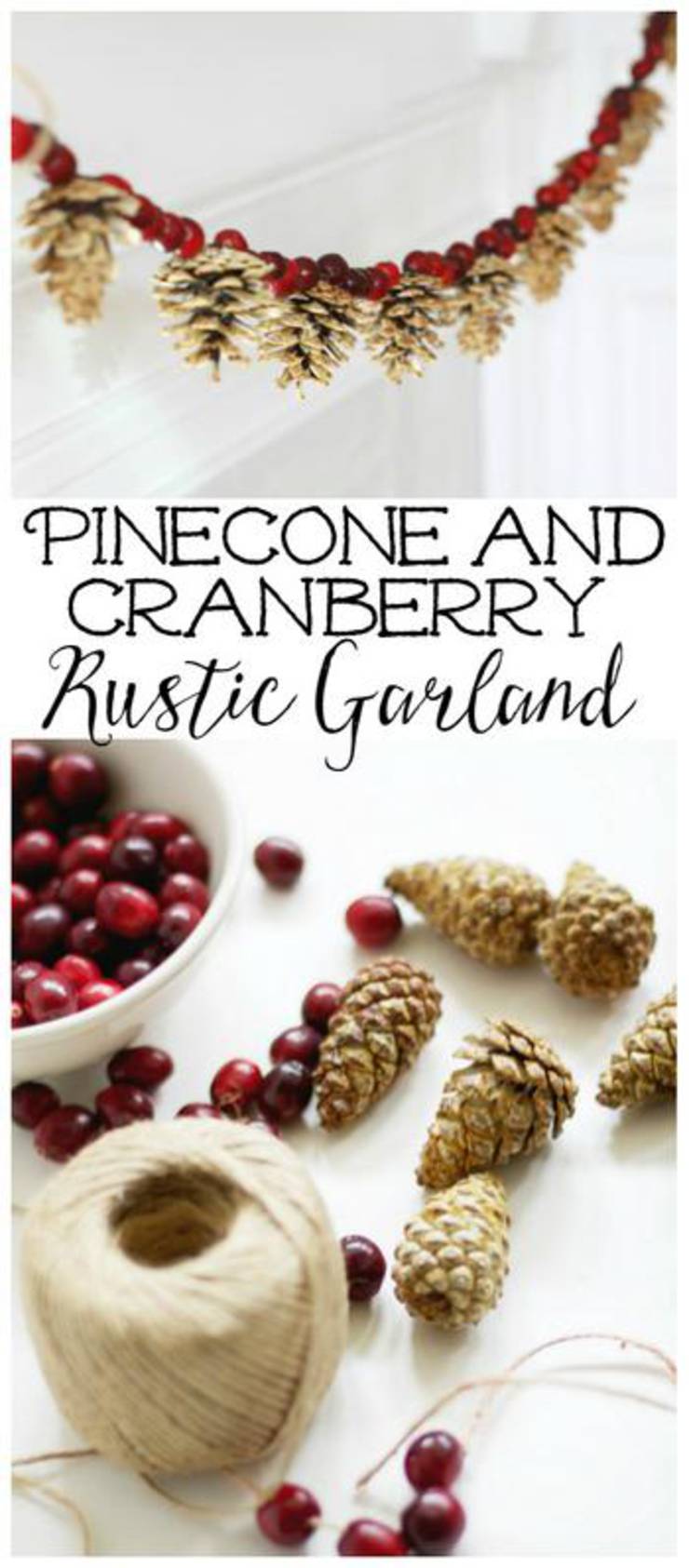 Pinecone And Cranberry Garland