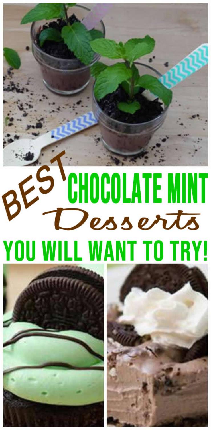 Chocolate-Mint-recipes