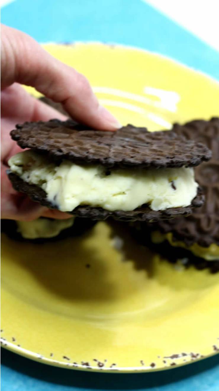 2 Ingredient Weight Watchers Dessert - The BEST Weight Watchers Recipe - Chocolate Mint Chip Ice Cream Sandwich {Easy - No Bake}