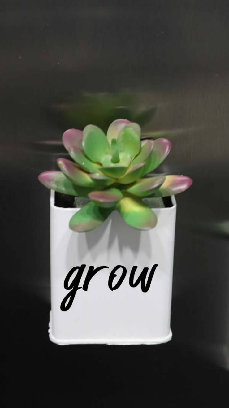 DIY Dollar Store Farmhouse Decor - Easy DIY Crafts - How To Make Farmhouse Decor - Simple Succulent DIY Projects For The Home - Dollar Tree Hacks