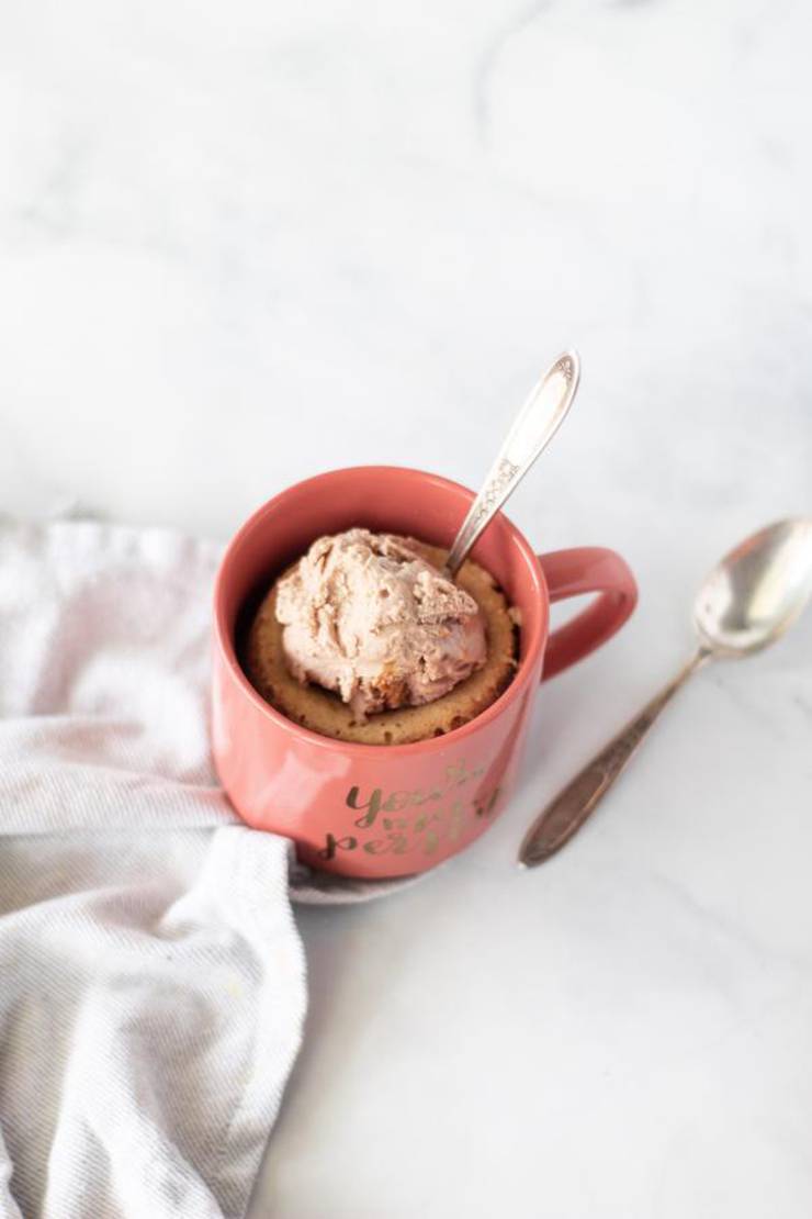 BEST Keto Mug Cakes! Low Carb Keto Microwave Peanut Butter Chocolate Chip Mug Cake Idea – Quick & Easy Ketogenic Diet Recipe – Completely Keto Friendly
