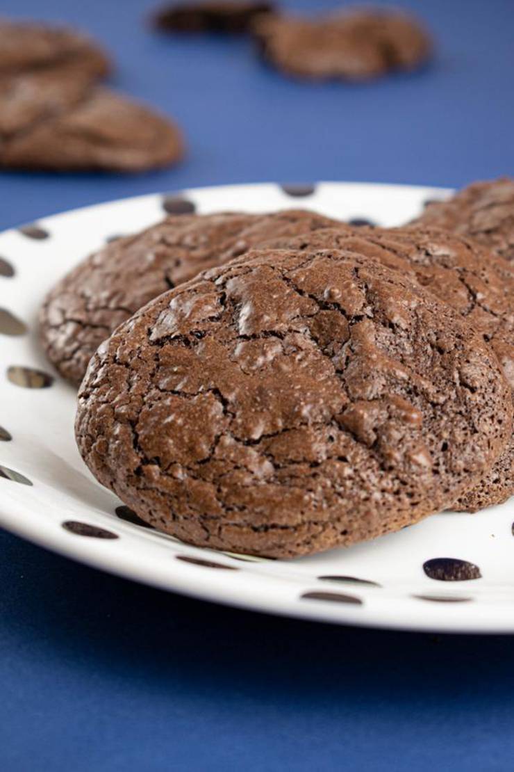 BEST Keto Cookies! Low Carb Keto Chocolate Fudge Brownie Cookies Idea – Quick & Easy Ketogenic Diet Recipe – Completely Keto Friendly