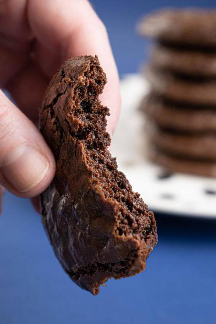Best Keto Cookies Low Carb Keto Chocolate Fudge Brownie Cookies Idea Quick Easy Ketogenic Diet Recipe Completely Keto Friendly