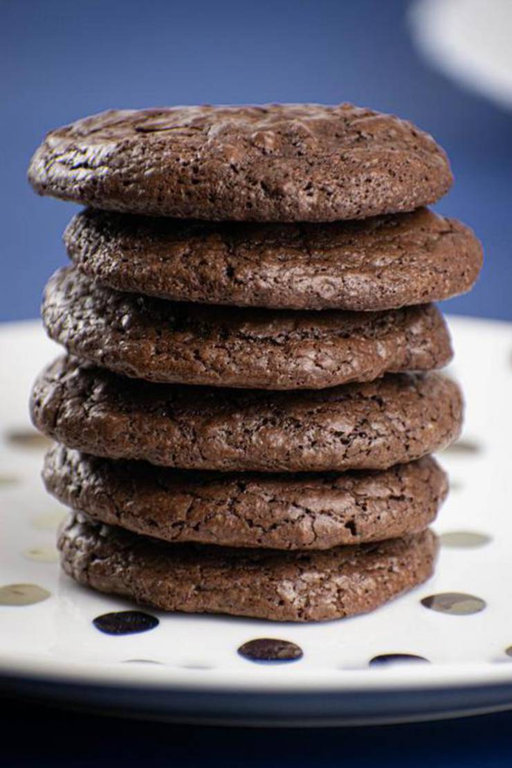 Best Keto Cookies Low Carb Keto Chocolate Fudge Brownie Cookies Idea Quick Easy Ketogenic Diet Recipe Completely Keto Friendly