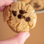 BEST Keto Cookies! Low Carb Keto Peanut Butter Chocolate Chip Cookie Idea – Quick & Easy Ketogenic Diet Recipe – Completely Keto Friendly