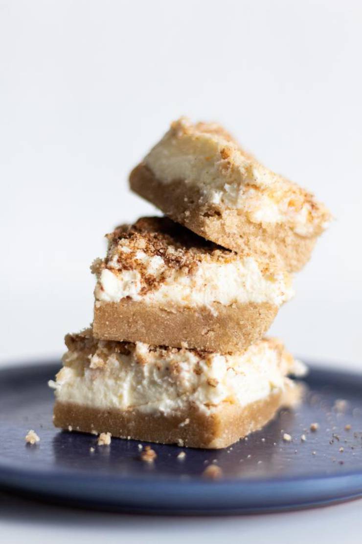 BEST Keto Snickerdoodle Bars! Low Carb Keto Snickerdoodle Bites Idea – Sugar Free – Quick {Easy} Ketogenic Diet Recipe – Completely Keto Friendly