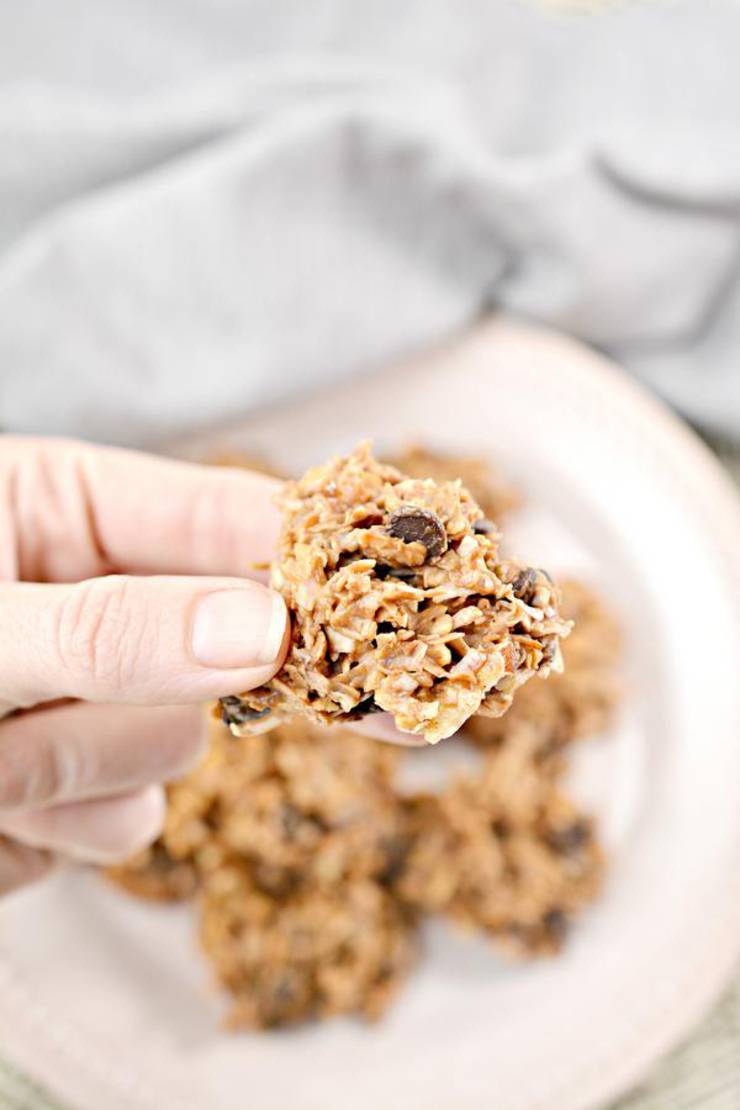 BEST No Bake Keto Cookies! Low Carb Keto Chocolate Cookie Bites Idea – Sugar Free – Quick & Easy Ketogenic Diet Recipe – Completely Keto Friendly