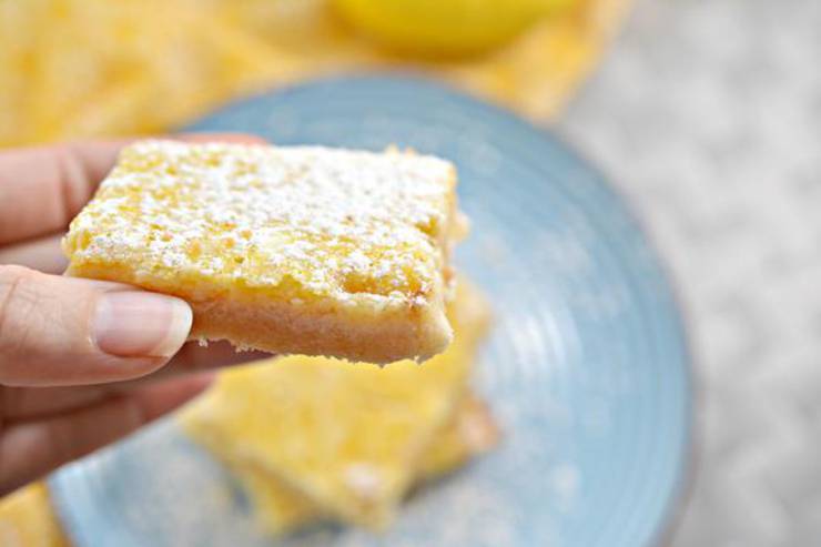 Keto Lemon Bars - Super Yummy Low Carb Lemon Bar Recipe - Best Keto Food Recipe For Ketogenic Diet