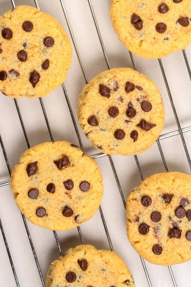 BEST Keto Cookies! Low Carb Keto Salted Caramel Chocolate Chip Cookie Idea – Quick & Easy Ketogenic Diet Recipe – Completely Keto Friendly