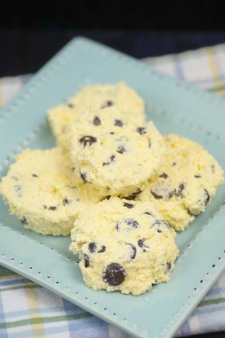 3 Ingredient Weight Watchers Vanilla Chocolate Chip Pudding Ice Cream Cookies – The BEST Weight Watchers Flourless Cookies {Easy – No Bake}
