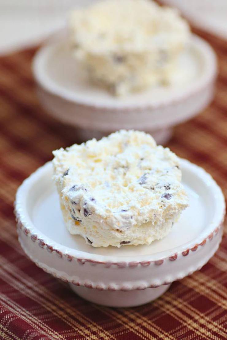 3 Ingredient Weight Watchers Chocolate Chip Cheesecake Pudding Ice Cream Cookies – The BEST Weight Watchers Flourless Cookies {Easy – No Bake}