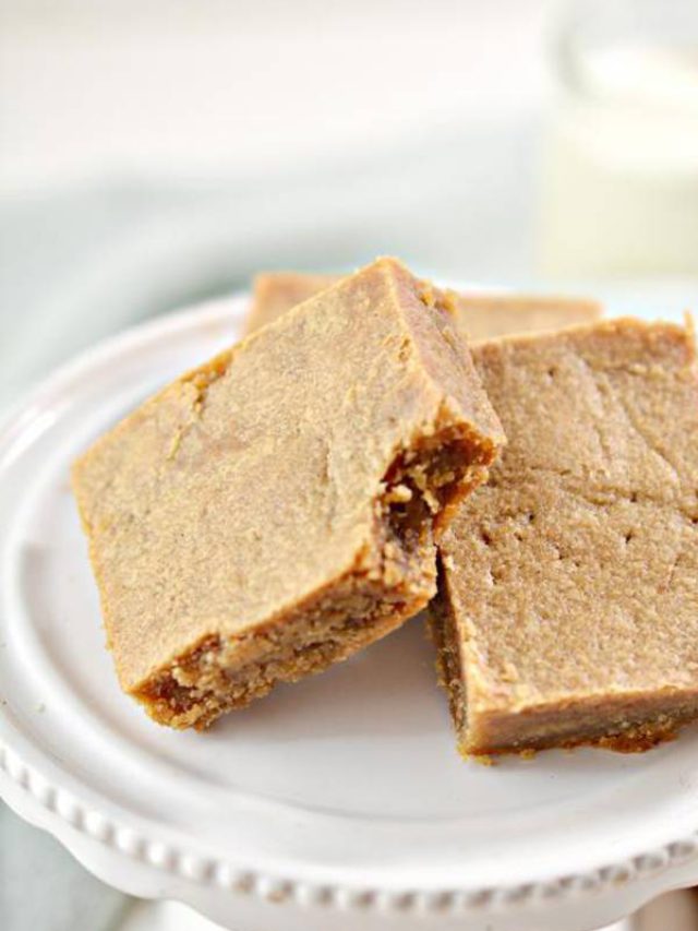 3 INGREDIENT PEANUT BUTTER BARS KETO LOW CARB STORY