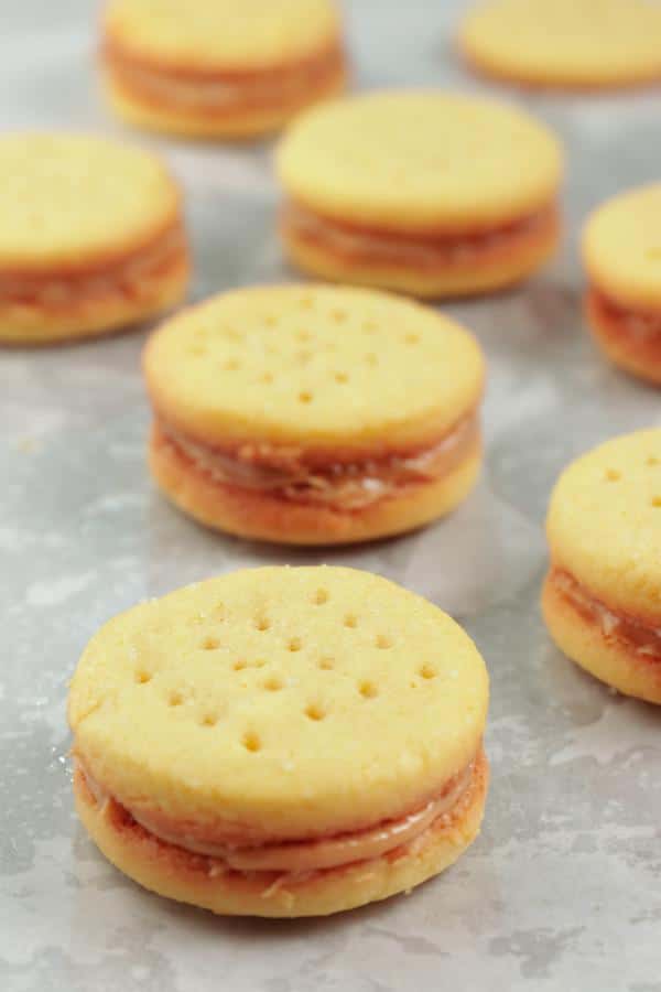 5 Ingredient Keto Crackers – BEST Low Carb Keto Mini Peanut Butter Ritz Cracker Recipe Copycat Crackers – Easy – Snacks – Appetizers – Keto Friendly & Beginner