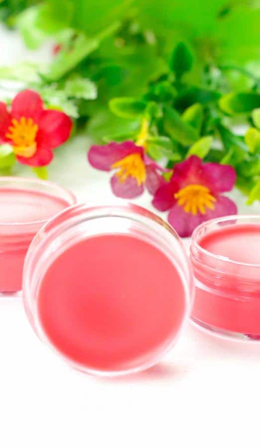 DIY Lip Gloss – Tropical Punch Lip Gloss Idea {Easy} Tropical Punch Lip Balm Recipe – How To Make Lip Gloss