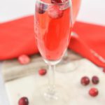 Keto Cocktail – BEST Low Carb Cranberry Champagne Alcoholic Drink Recipe – Sparkling Cranberry Cocktail – Easy & Simple