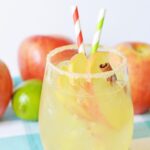BEST Apple Cider Margarita Recipe – Easy and Simple On The Rocks Alcohol Drinks - Fall Cocktails