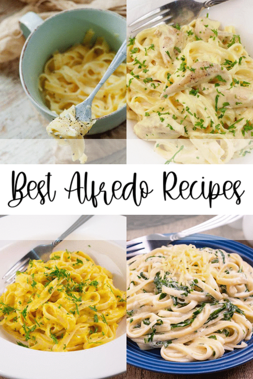 6 Alfredo Recipes - Best Pasta Alfredo Ideas