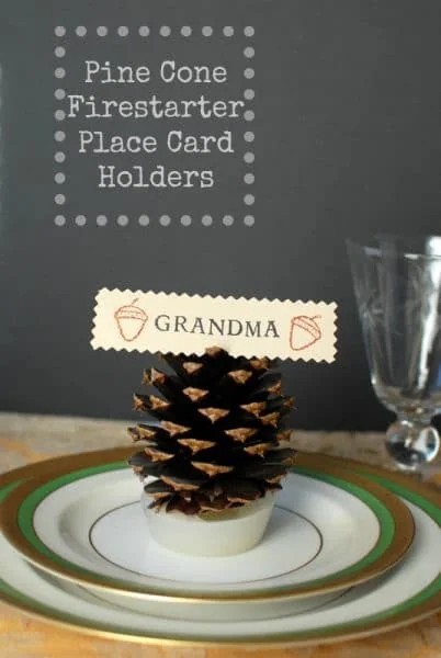 Pine cone place card holders thanksgiving table setting DIY decoration