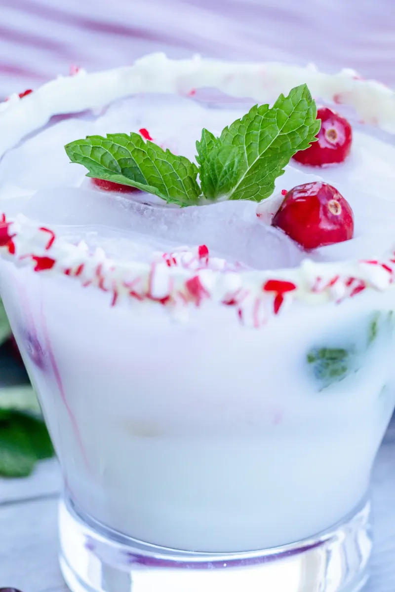 Close-up of white Christmas mojito showing creamy texture and holiday garnishes