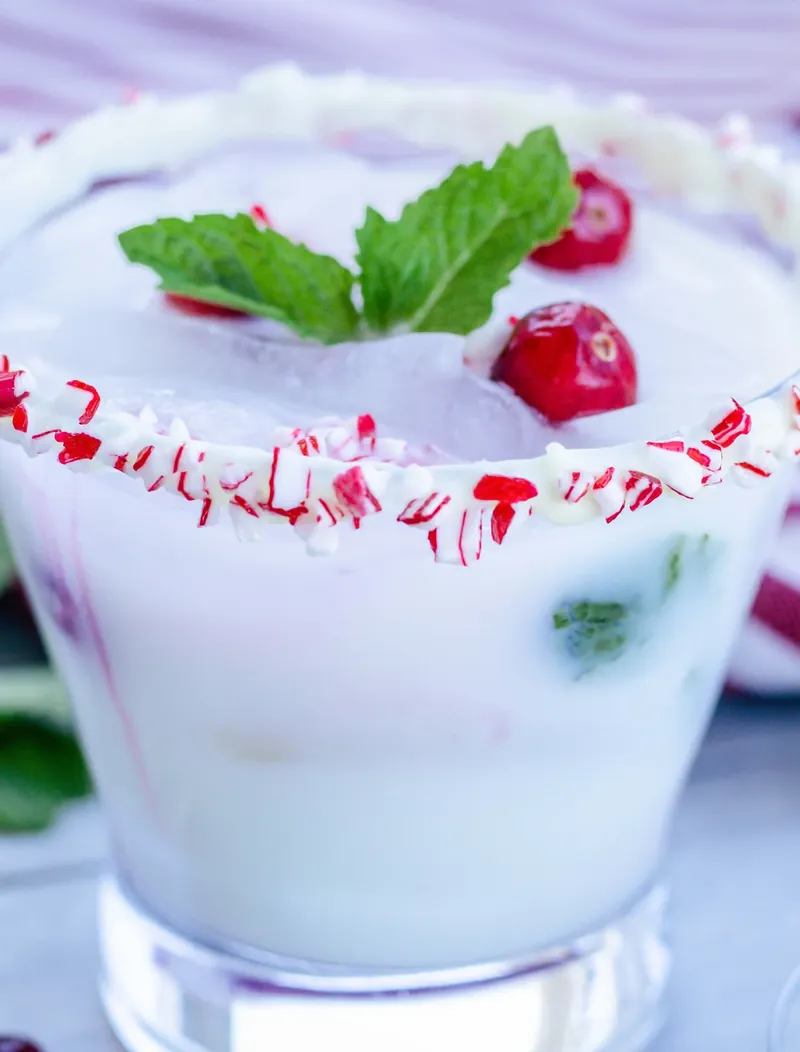 Final white Christmas mojito with sparkling appearance, mint garnish and cranberries